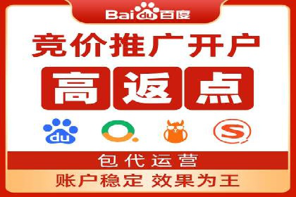 SEM推广策略：成功案例解析